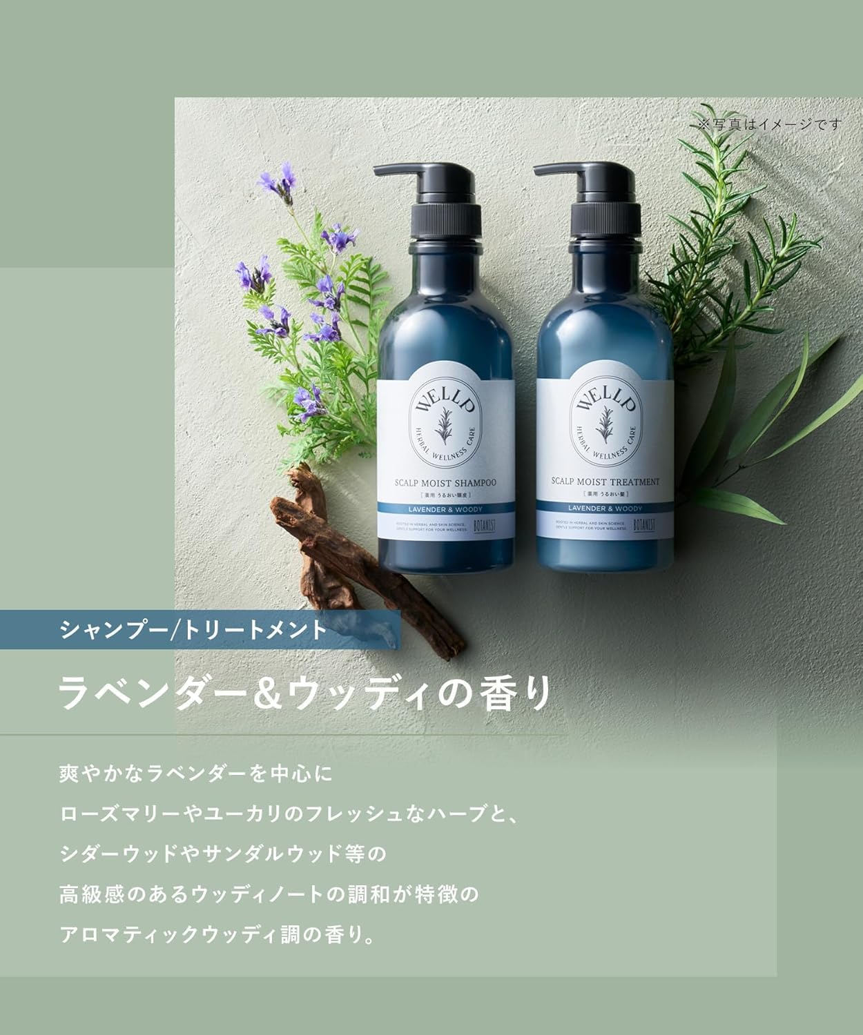 るう❣️シャンプー S.トリートメントM❣️２５００mlセット Amazon.co.jp: WELLP ウェルプ シャンプー トリートメント お試し